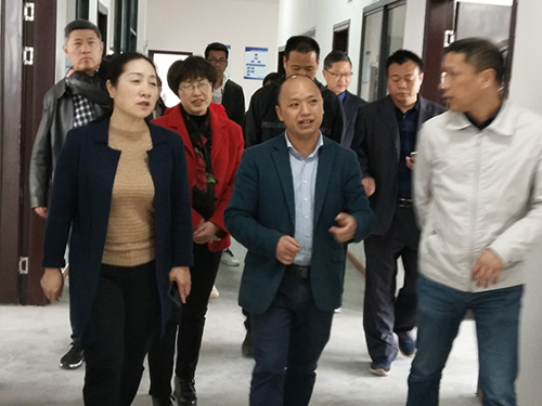 懷化政協領導視察公司