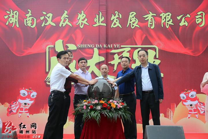 湖南漢眾農業發展有限公司,懷化純天然七角艾草植物種植,懷化艾制品制造銷售