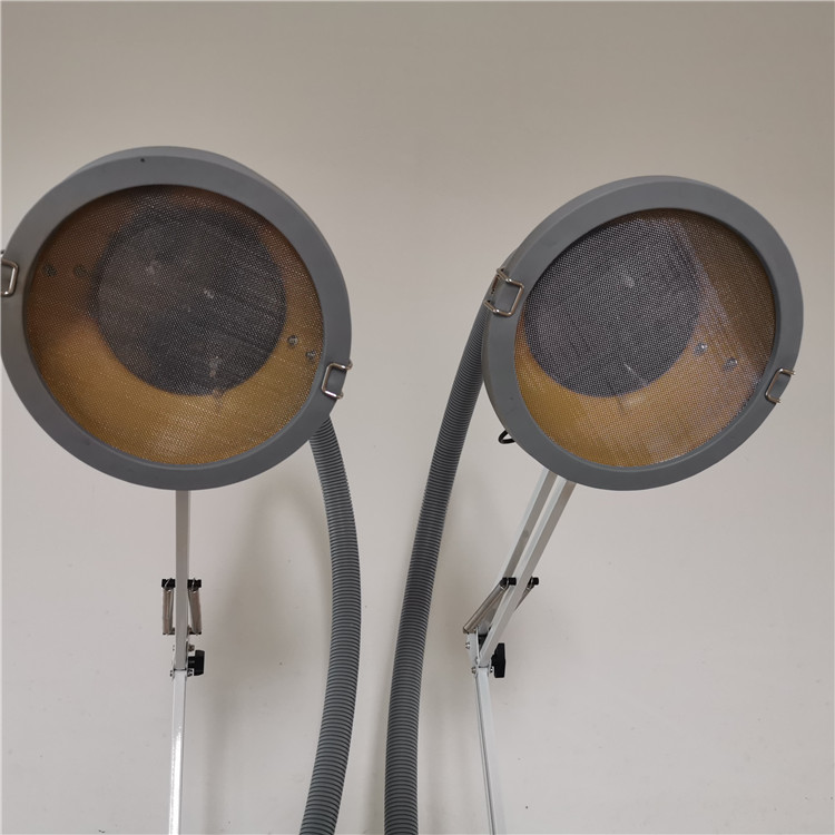 湖南漢眾農業發展有限公司,懷化天然七角艾草植物種植,懷化艾制品制造銷售